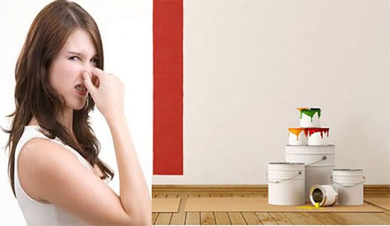 Cách khử mùi sơn hiệu quả