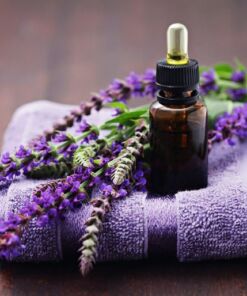 Tinh dầu oải hương Lavender