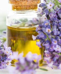 tinh dầu hoa oải hương