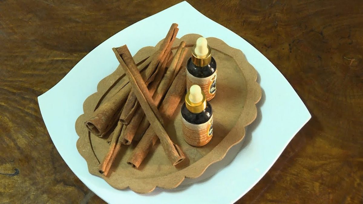 chưng cất tinh dầu quế