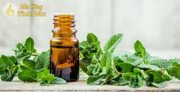 tinh-dau-bac-ha-thanh-loc-khong-khi (1)