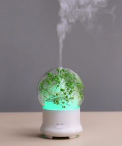 Máy Khuếch Tán Tinh Dầu Cẩm Tú Cầu Xanh Lá