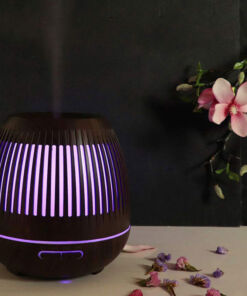 may-khuech-tan-tinh-dau-long-chim-toi