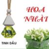 tinh-dau-treo-oto-hoa-nhai