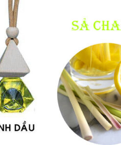 tinh-dau-treo-oto-sa-chanh