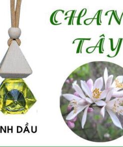 tinh-dau-treo-xe-chanh-tay