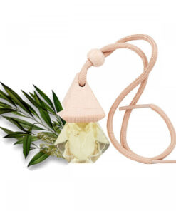 tinh-dau-treo-xe-o-to-tram