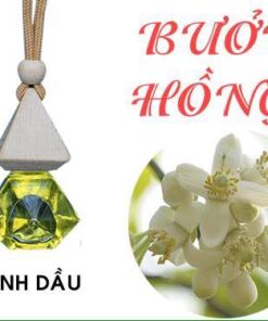 tinh-dau-treo-xe-oto-buoi-hong